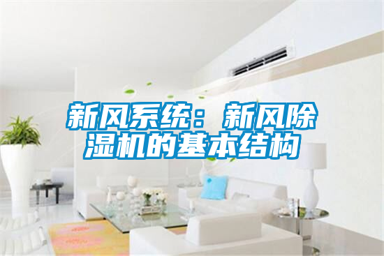 新风系统：新风好色先生污污版的基本结构