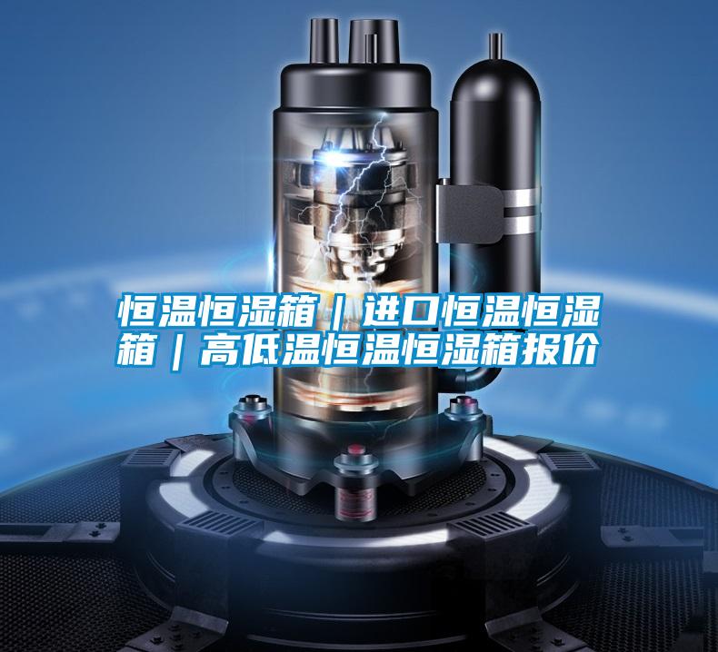 恒温恒湿箱|进口恒温恒湿箱|高低温恒温恒湿箱报价