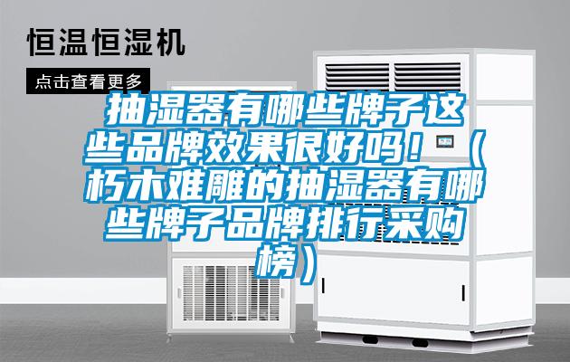 抽湿器有哪些牌子这些品牌效果很好吗！（朽木难雕的抽湿器有哪些牌子品牌排行采购榜）
