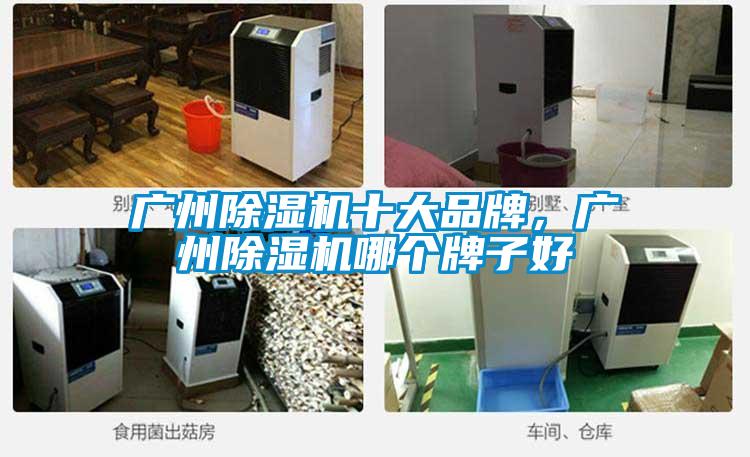 广州好色先生污污版十大品牌，广州好色先生污污版哪个牌子好