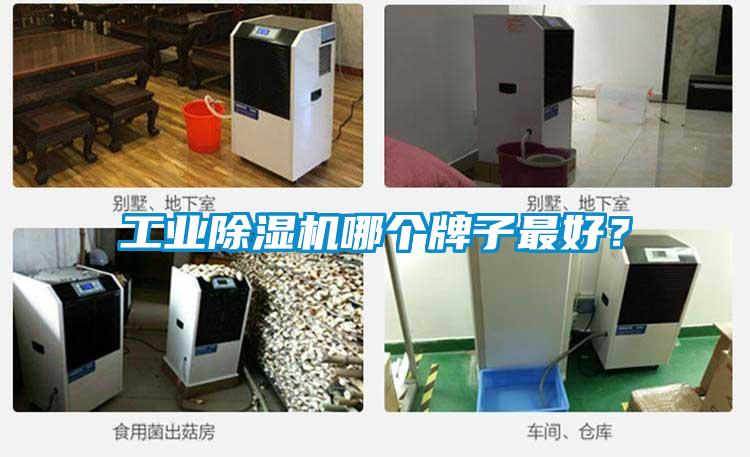 工业好色先生污污版哪个牌子最好？