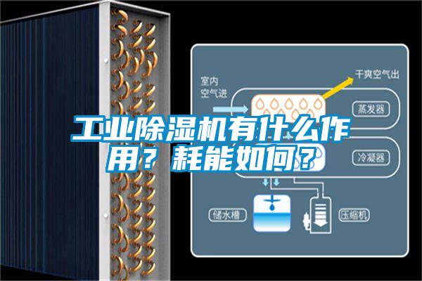 工业好色先生污污版有什么作用？耗能如何？