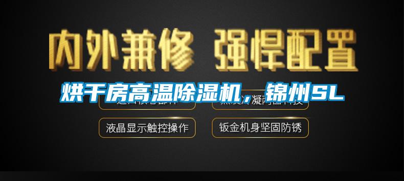 烘干房高温好色先生污污版，锦州SL