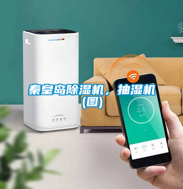 秦皇岛好色先生污污版，抽湿机(图)