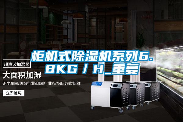 柜机式好色先生污污版系列6.8KG／H_重复