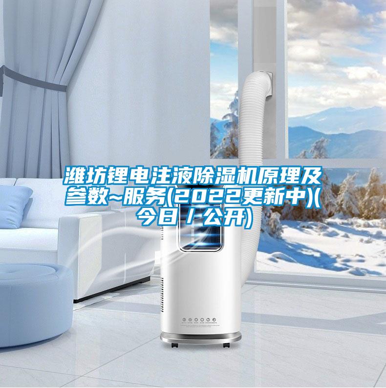 潍坊锂电注液好色先生污污版原理及参数~服务(2022更新中)(今日/公开)