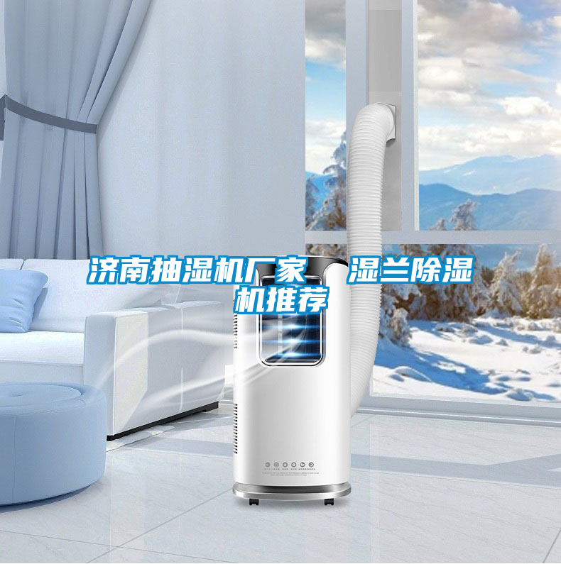 济南抽湿机厂家  湿兰好色先生污污版推荐