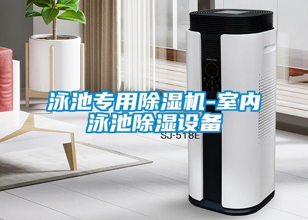 泳池专用好色先生污污版-室内泳池除湿设备