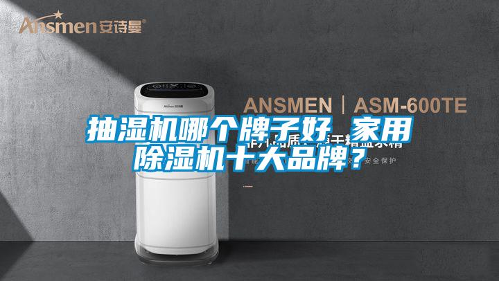 抽湿机哪个牌子好 家用好色先生污污版十大品牌？