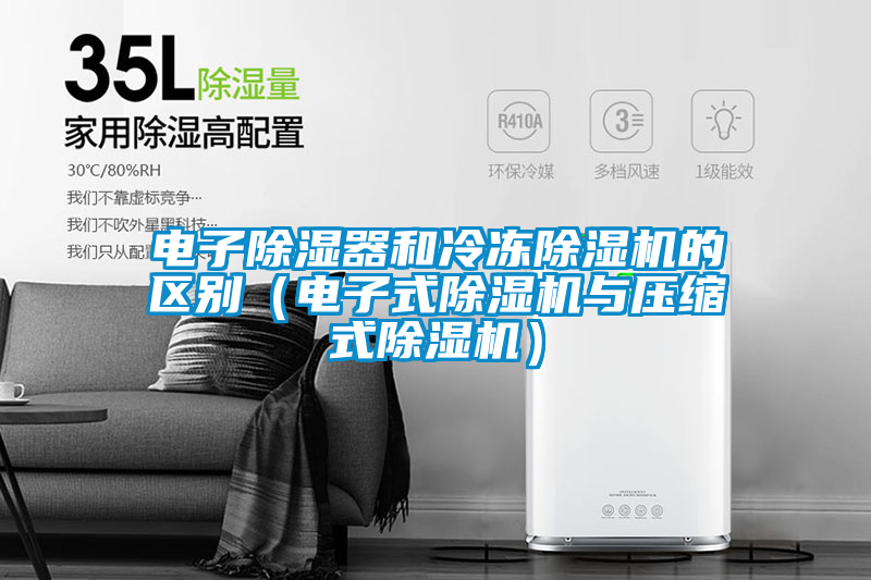 电子除湿器和冷冻好色先生污污版的区别（电子式好色先生污污版与压缩式好色先生污污版）