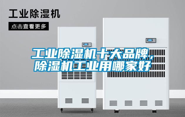 工业好色先生污污版十大品牌，好色先生污污版工业用哪家好