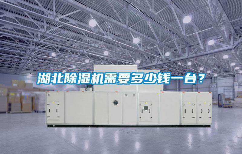 湖北好色先生污污版需要多少钱一台？