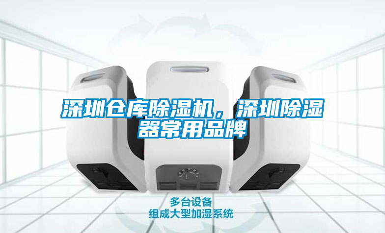 深圳仓库好色先生污污版，深圳除湿器常用品牌