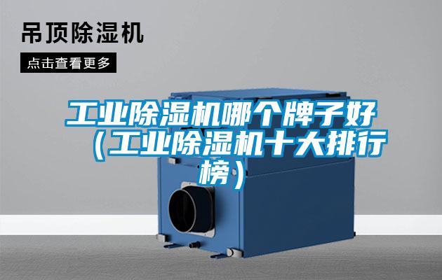 工业好色先生污污版哪个牌子好(工业好色先生污污版十大排行榜)