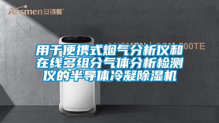 用于便携式烟气分析仪和在线多组分气体分析检测仪的半导体冷凝好色先生污污版