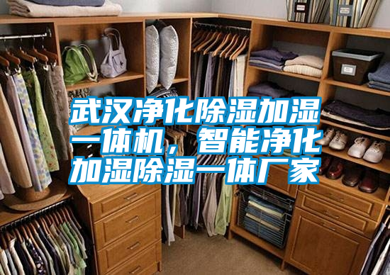 武汉净化除湿加湿一体机，智能净化加湿除湿一体厂家