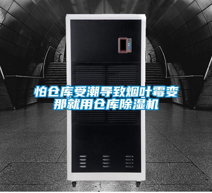 怕仓库受潮导致烟叶霉变那就用仓库好色先生污污版