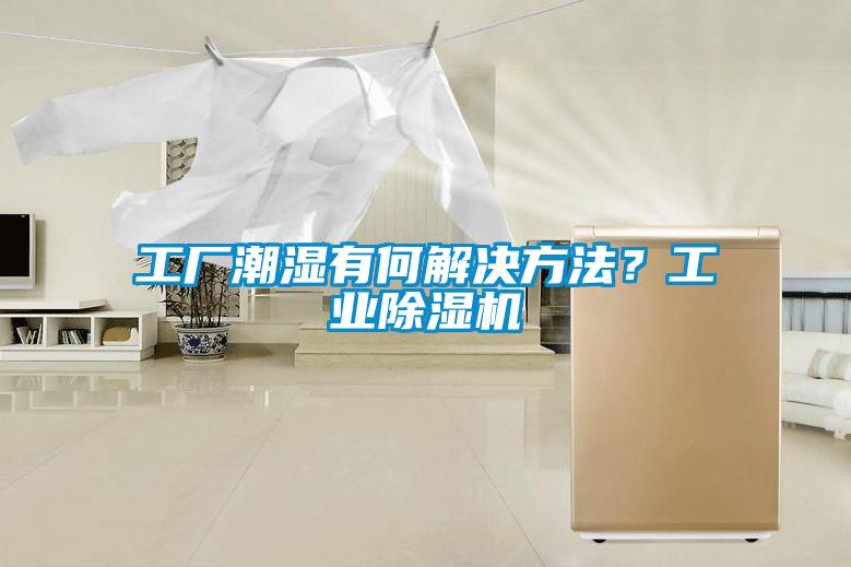 工厂潮湿有何解决方法？工业好色先生污污版