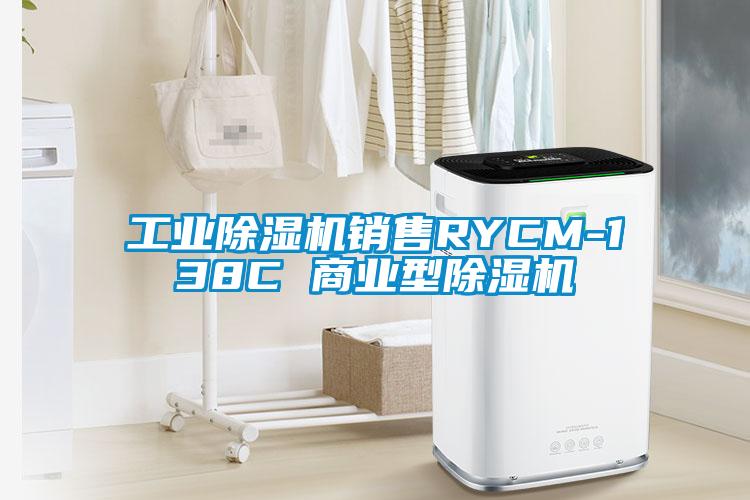 工业好色先生污污版销售RYCM-138C 商业型好色先生污污版