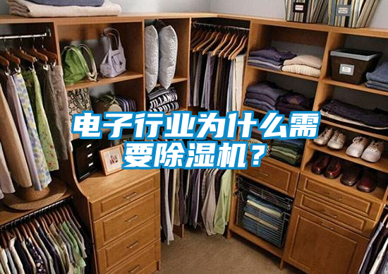 电子行业为什么需要好色先生污污版？