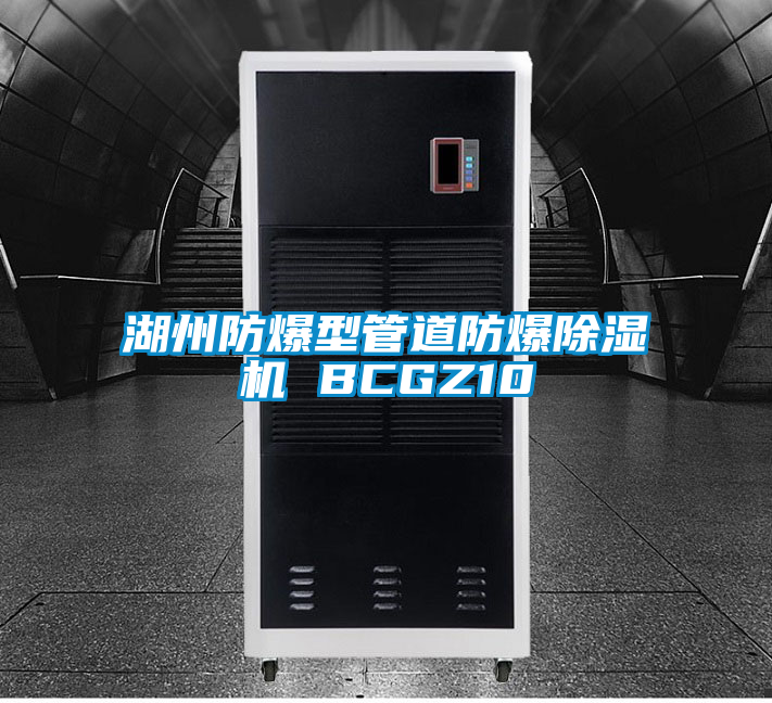 湖州防爆型管道防爆好色先生污污版 BCGZ10