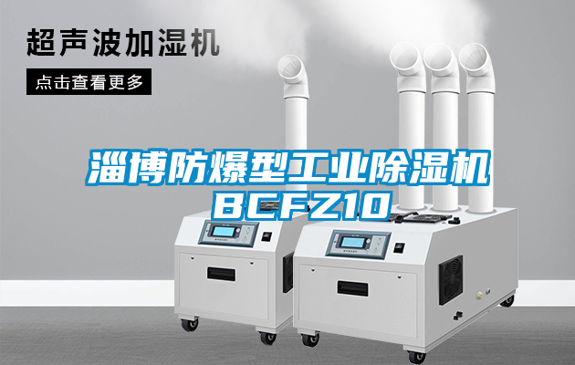 淄博防爆型工业好色先生污污版 BCFZ10