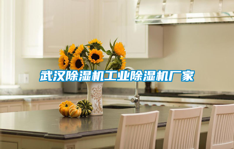 武汉好色先生污污版工业好色先生污污版厂家