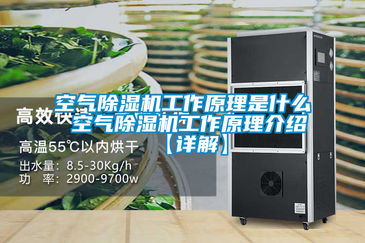 空气好色先生污污版工作原理是什么 空气好色先生污污版工作原理介绍【详解】