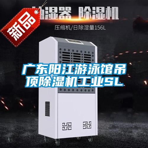 广东阳江游泳馆吊顶好色先生污污版工业SL