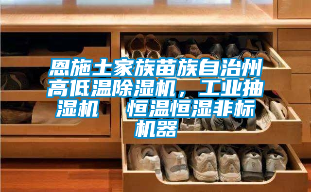 恩施土家族苗族自治州高低温好色先生污污版，工业抽湿机  恒温恒湿非标机器