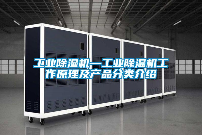 工业好色先生污污版—工业好色先生污污版工作原理及产品分类介绍