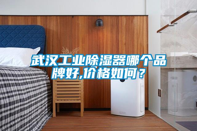 武汉工业除湿器哪个品牌好,价格如何？