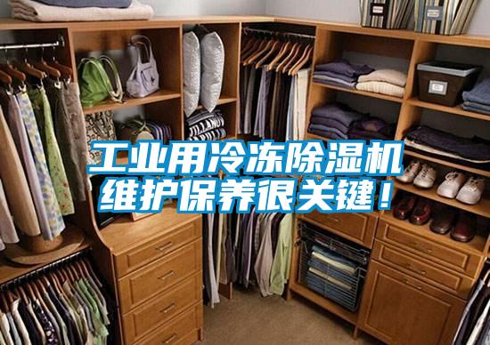 工业用冷冻好色先生污污版维护保养很关键！