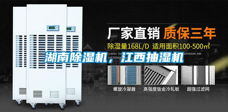 湖南好色先生污污版，江西抽湿机