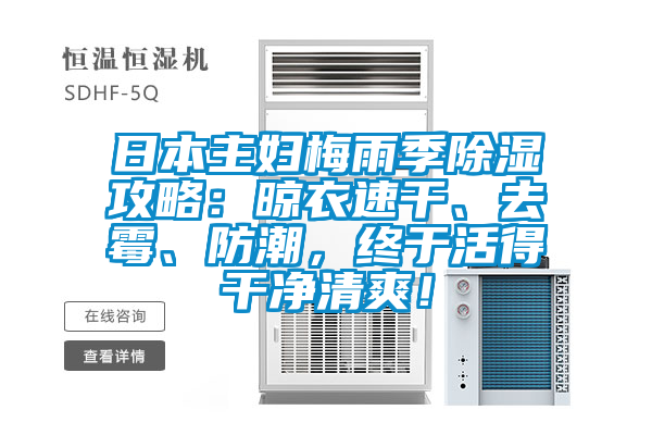 日本主妇梅雨季除湿攻略：晾衣速干、去霉、防潮，终于活得干净清爽！