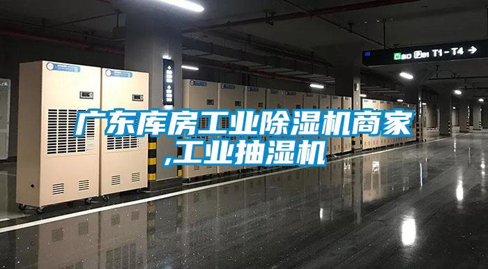 广东库房工业好色先生污污版商家,工业抽湿机