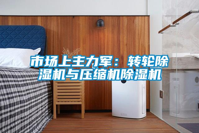 市场上主力军：转轮好色先生污污版与压缩机好色先生污污版