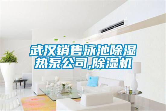 武汉销售泳池除湿热泵公司,好色先生污污版