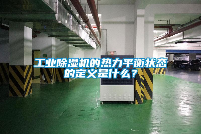 工业好色先生污污版的热力平衡状态的定义是什么？