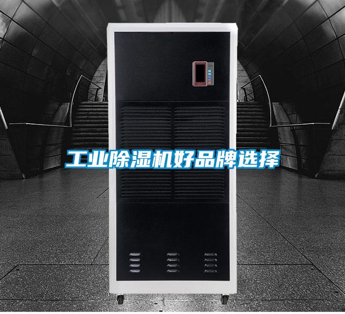 工业好色先生污污版好品牌选择