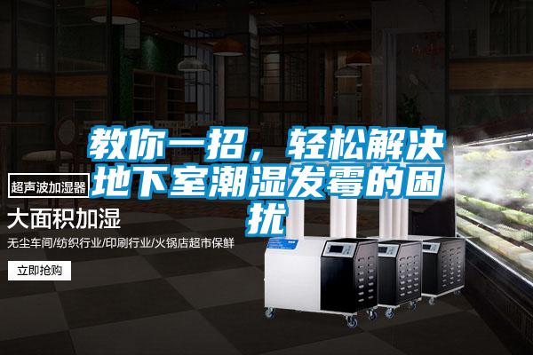教你一招，轻松解决地下室潮湿发霉的困扰