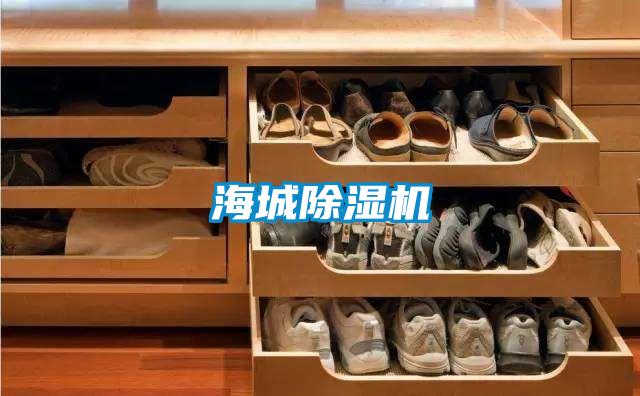 海城好色先生污污版