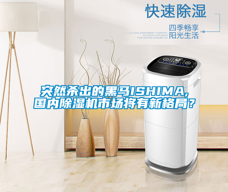 突然杀出的黑马ISHIMA,国内好色先生污污版市场将有新格局？