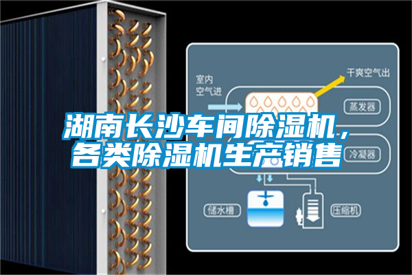 湖南长沙车间好色先生污污版，各类好色先生污污版生产销售