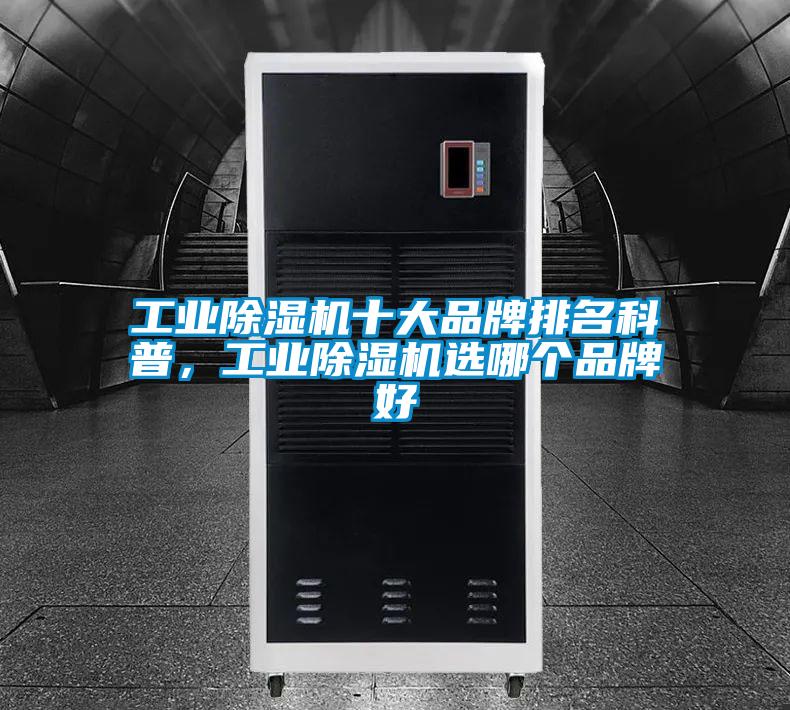 工业好色先生污污版十大品牌排名科普，工业好色先生污污版选哪个品牌好