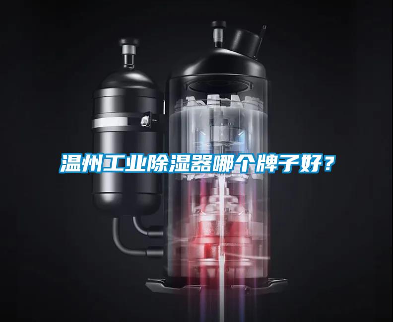温州工业除湿器哪个牌子好？