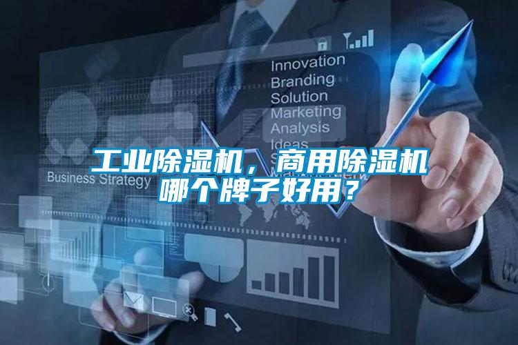 工业好色先生污污版，商用好色先生污污版哪个牌子好用？