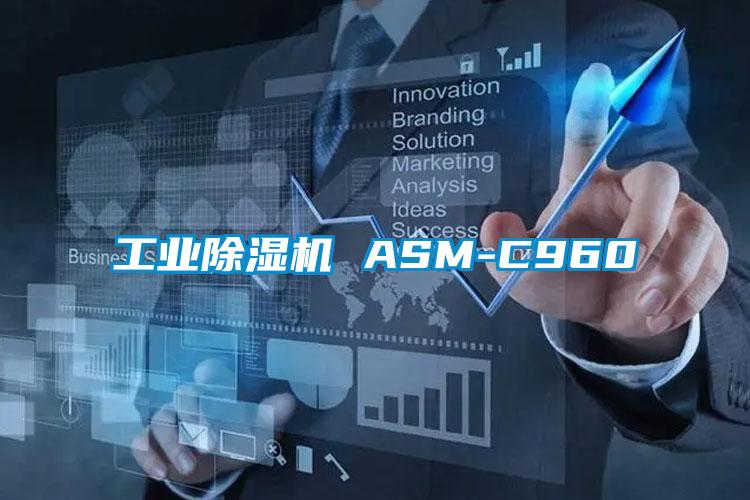 工业好色先生污污版 ASM-C960