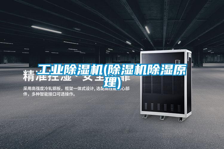 工业好色先生污污版(好色先生污污版除湿原理)