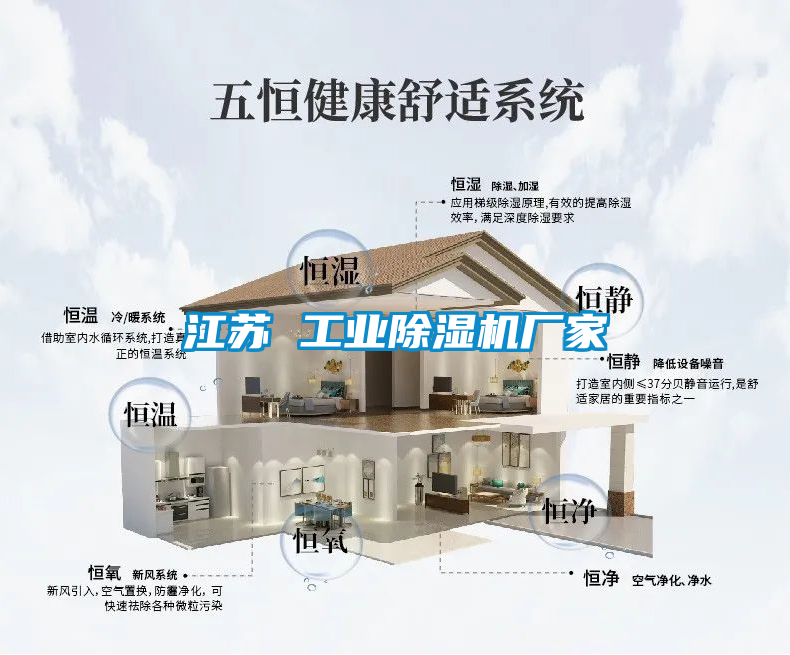 江苏 工业好色先生污污版厂家